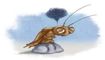Avoir le cafard, French expression for feeling low, illustrated
