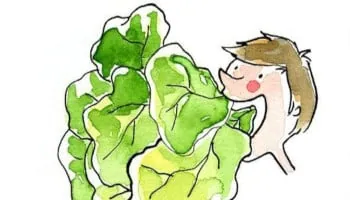 Raconter des salades, the french expressions for telling tales, illustrated
