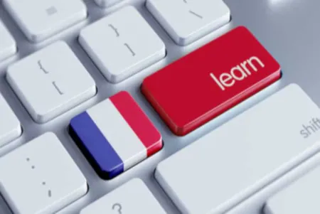Learning French online: live classes fit the 6-month timeline around real life
