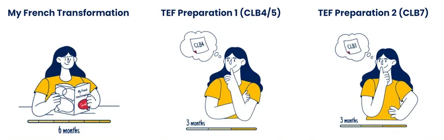 The path to TEF success: foundations, preparation, exam